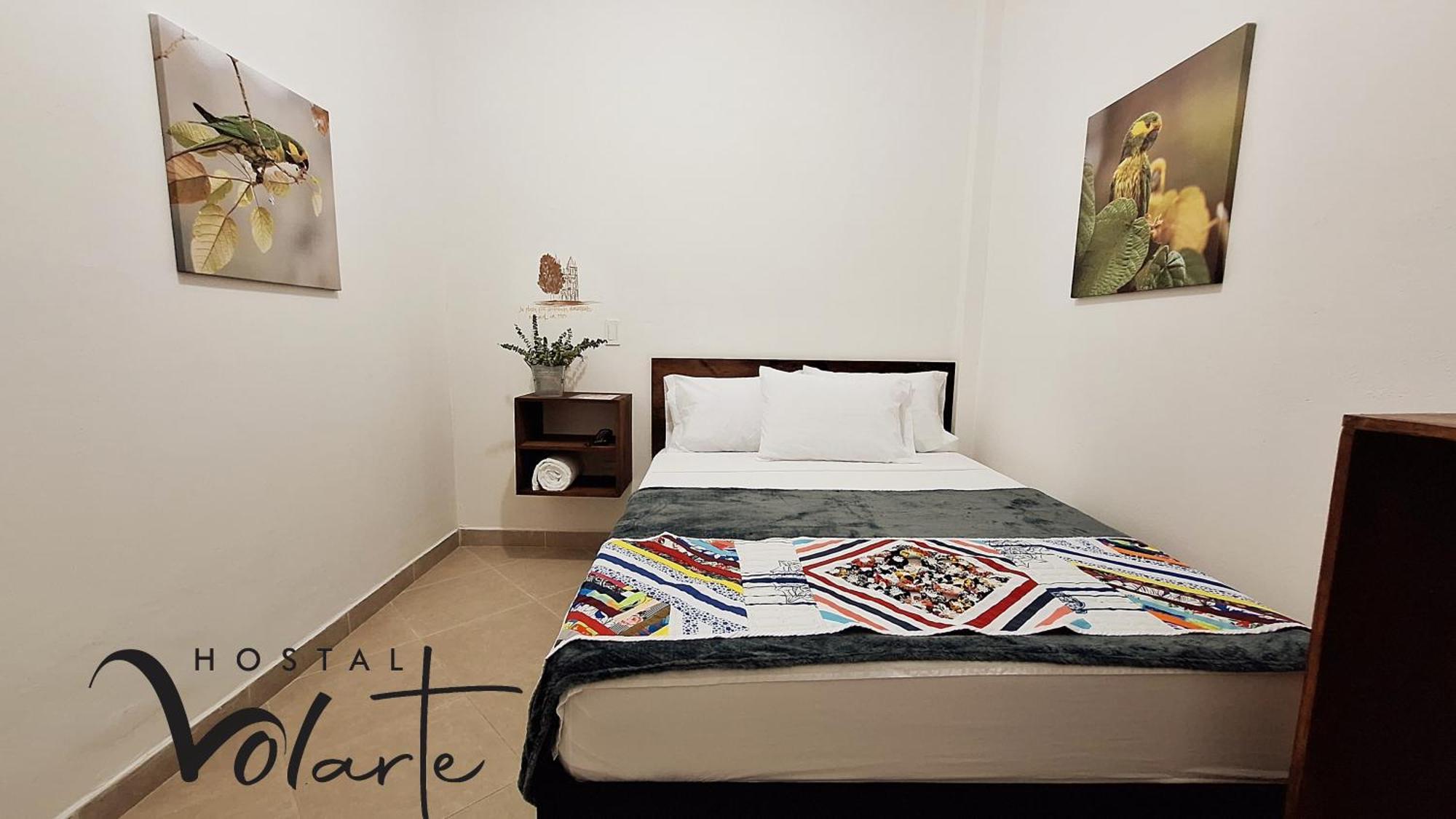 Volarte Hostal Jardin Zewnętrze zdjęcie