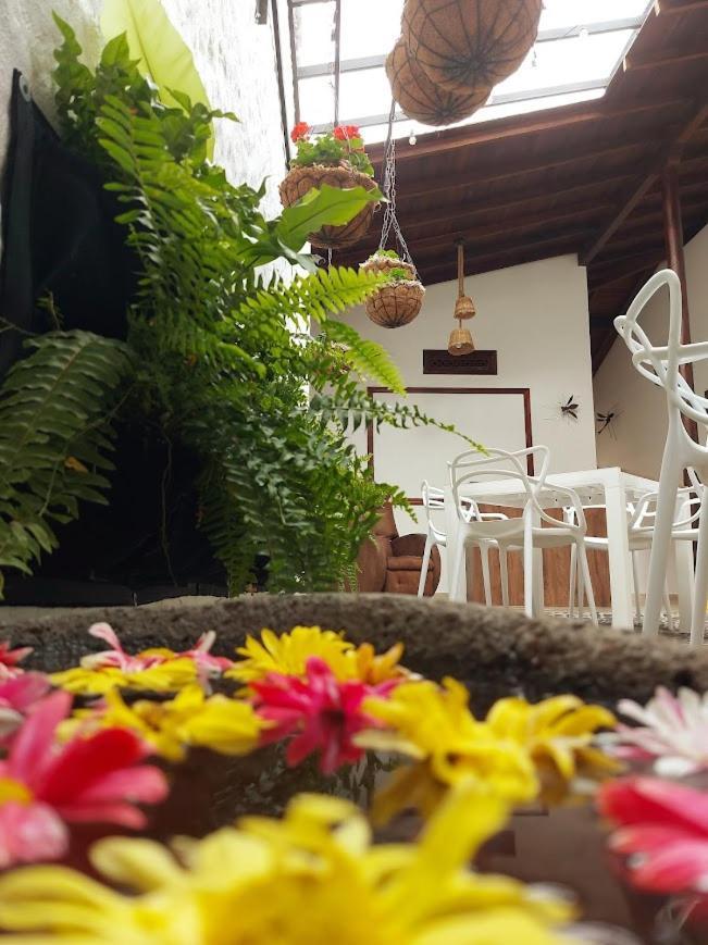 Volarte Hostal Jardin Zewnętrze zdjęcie